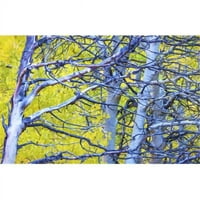Posteranzi dpi12286490large jesen lišće na drveću u Sierra Nevada - biskup California Sjedinjene Države Poster Print by Marion Owen, - Veliki