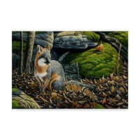 Zaštitni znak Likovna umjetnost' siva lisica ' platnena Umjetnost Wilhelma Goebela