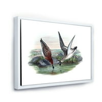 Designart 'Vintage Countryside Dvije Ptice U Jezeru' Seoska Kuća Uokvirena Platnena Zidna Umjetnička Štampa