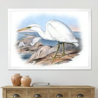 DESIMANT Drevne australijske ptice XIII tradicionalni uokvireni umjetnički print