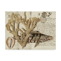 Zaštitni znak likovne umjetnosti 'Sea life Journal II' Canvas Art by Vision Studio