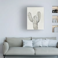 Tim OToole 'Cactus Study II' Canvas Art