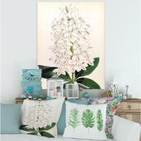 Drevna Bijela orhideja III slika na platnu Art Print