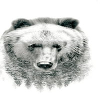 Medvjed - drveće zidni poster, 22.375 34