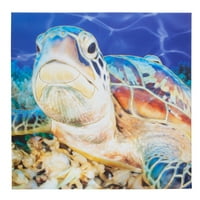 Američki umjetnički dekor morska kornjača na otvorenom platno Art Decor Ispis