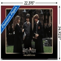 Harry Potter i kamen čarobnjaka - zidni poster prijatelja, 14.725 22.375