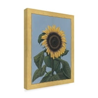 Zaštitni znak likovne umjetnosti 'Apple Sunflower 1' platno Art Michele Meissner