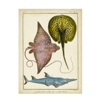 Chevillet' Antique Rays and Fish II ' platno Art