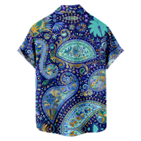 Paisley lijepa Top Unique Shirt Shirt kratkih rukava za putovanja i upoznavanje
