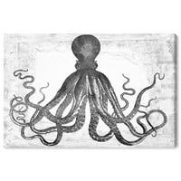 Wynwood Studio Nautical and Coastal Wall Art Canvas Prints 'Squid Grey' Marine Life - Siva, Bijela