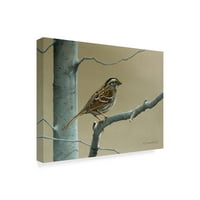 Zaštitni znak fine umjetnosti 'bijeli grlo Sparrow' platno umetnost Ron Parker